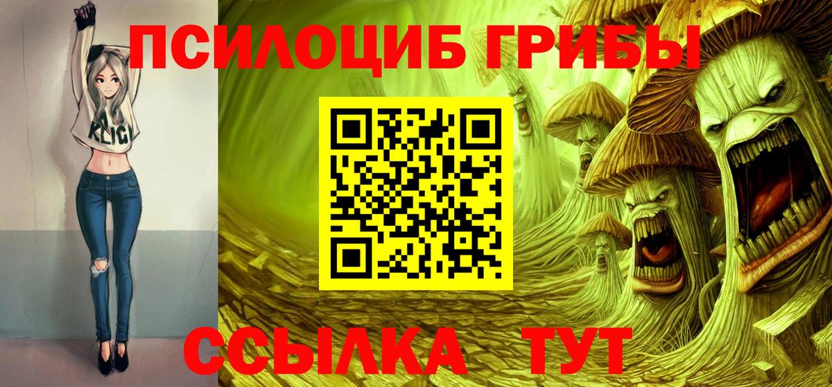 Псилоцибиновые грибы GOLDEN TEACHER Тверь