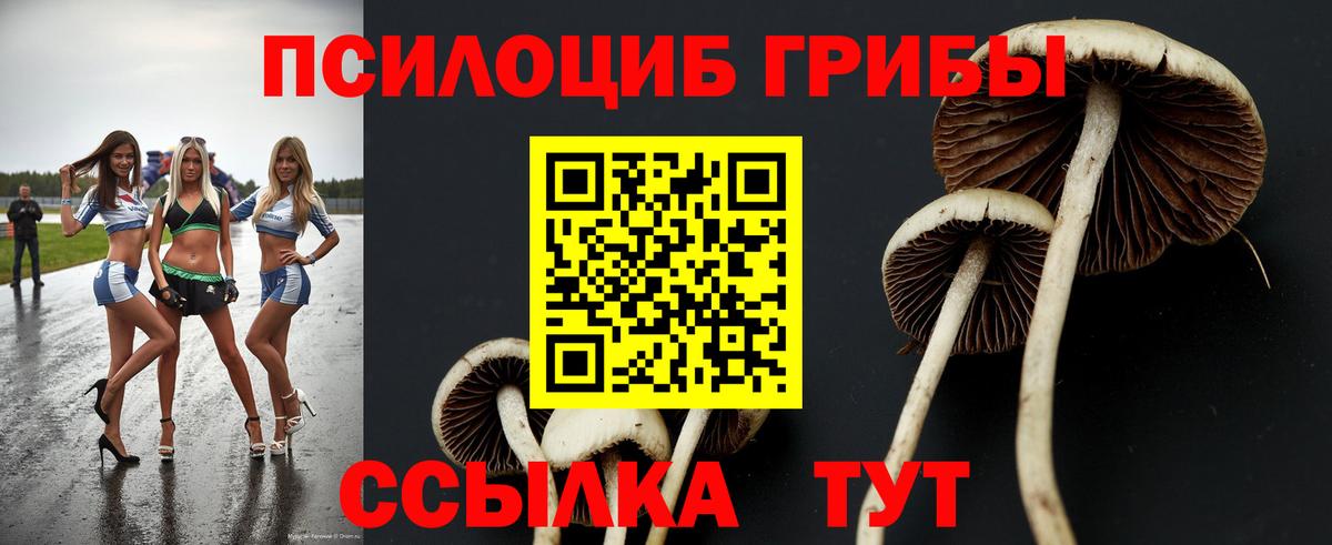 Тверь  Псилоцибиновые грибы GOLDEN TEACHER  Вход с VPN 